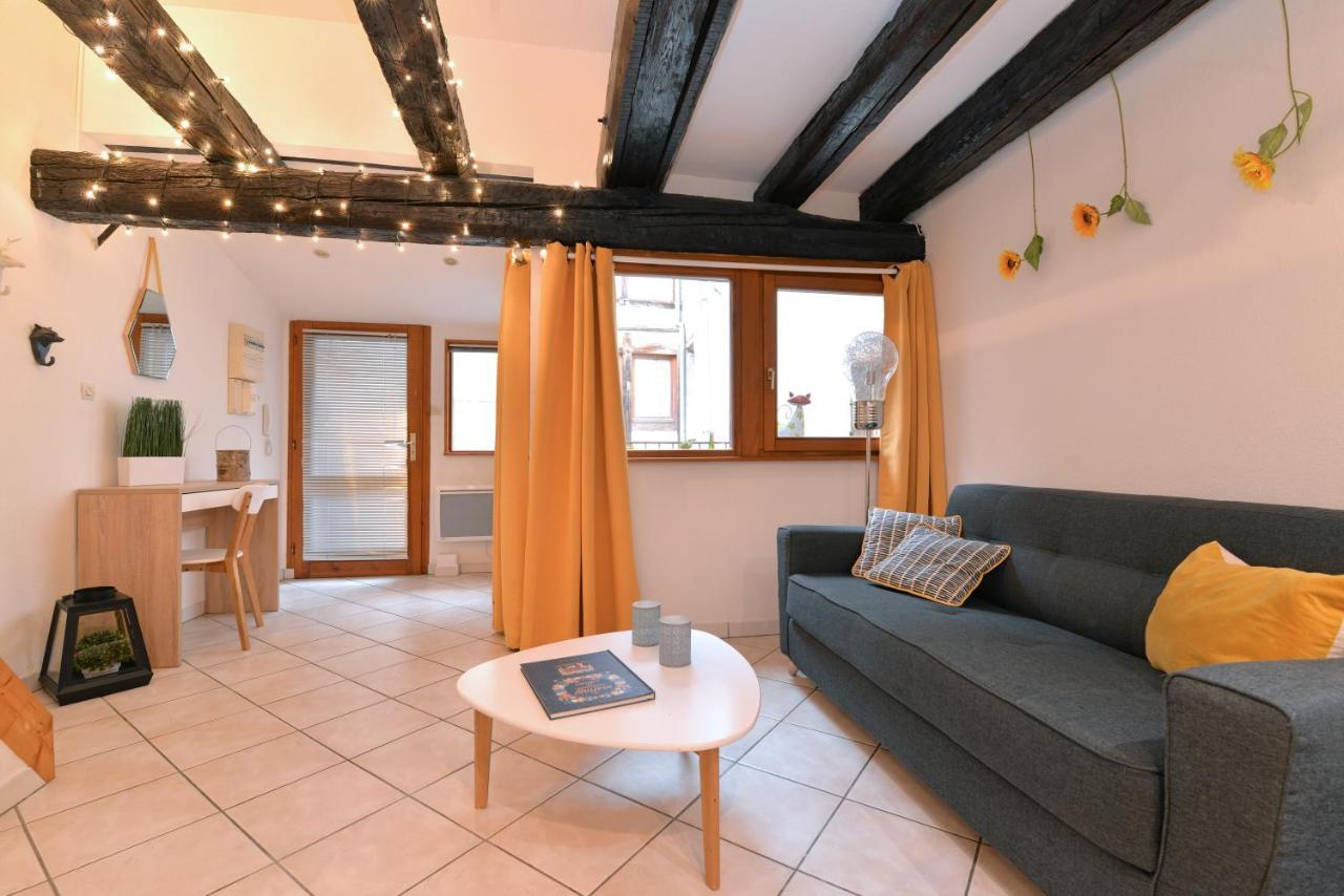 Appartement La Terrasse Sur Cour Colmar Ngoại thất bức ảnh